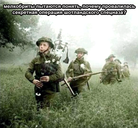 https://upforme.ru/uploads/0019/d2/d8/183/t164402.png