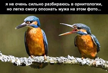 https://upforme.ru/uploads/0019/d2/d8/183/t173456.png