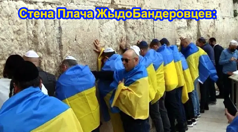 https://upforme.ru/uploads/0019/d2/d8/183/t205096.png