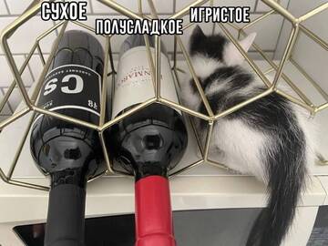 https://upforme.ru/uploads/0019/d2/d8/183/t207171.jpg