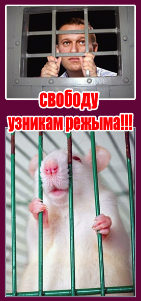 https://upforme.ru/uploads/0019/d2/d8/183/t254862.png