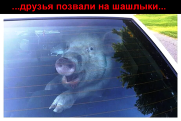 https://upforme.ru/uploads/0019/d2/d8/183/t26419.png