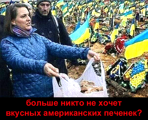 https://upforme.ru/uploads/0019/d2/d8/183/t265984.png