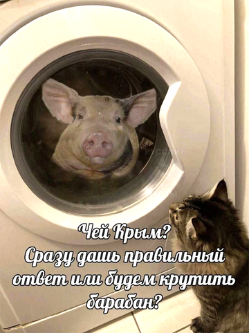 https://upforme.ru/uploads/0019/d2/d8/183/t30011.png