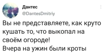 https://upforme.ru/uploads/0019/d2/d8/183/t305571.png