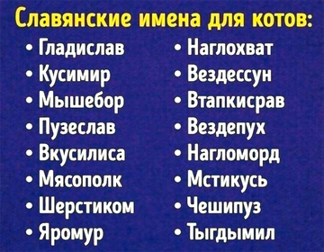 https://upforme.ru/uploads/0019/d2/d8/183/t306560.png
