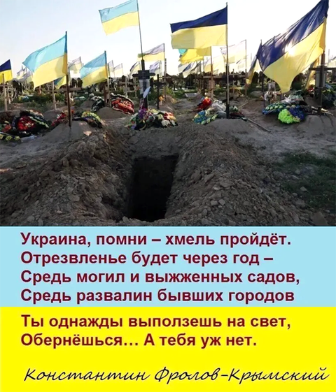 https://upforme.ru/uploads/0019/d2/d8/183/t311032.png