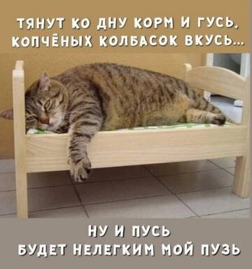 https://upforme.ru/uploads/0019/d2/d8/183/t322366.jpg