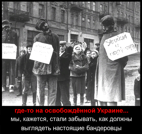 https://upforme.ru/uploads/0019/d2/d8/183/t329487.png