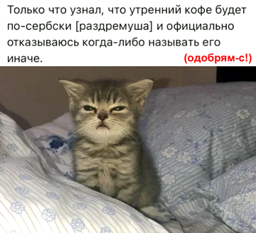 https://upforme.ru/uploads/0019/d2/d8/183/t384274.png
