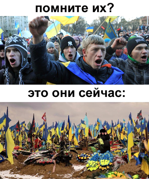 https://upforme.ru/uploads/0019/d2/d8/183/t399871.png
