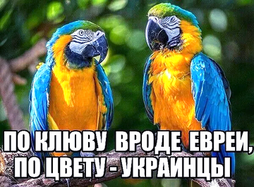 https://upforme.ru/uploads/0019/d2/d8/183/t411223.png