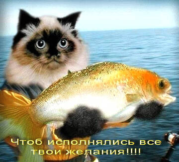 https://upforme.ru/uploads/0019/d2/d8/183/t48194.jpg
