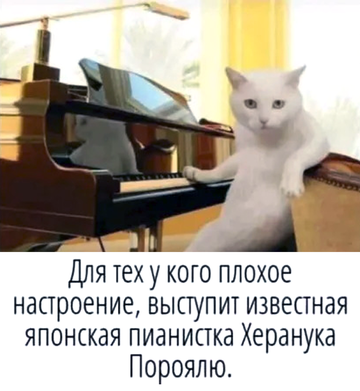 https://upforme.ru/uploads/0019/d2/d8/183/t598060.png