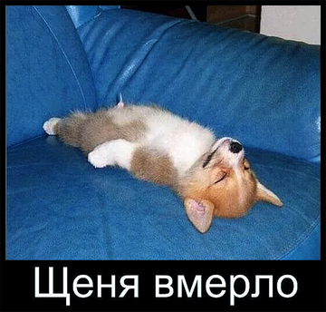 https://upforme.ru/uploads/0019/d2/d8/183/t619755.png