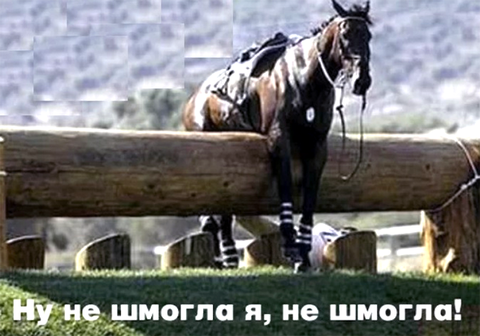 https://upforme.ru/uploads/0019/d2/d8/183/t620067.png