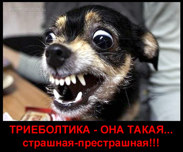 https://upforme.ru/uploads/0019/d2/d8/183/t622647.png