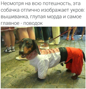 https://upforme.ru/uploads/0019/d2/d8/183/t64349.png