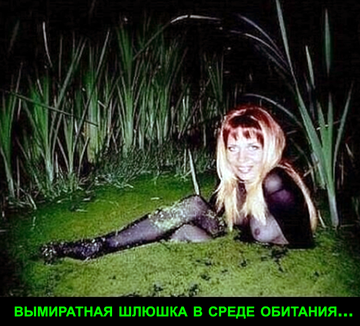 https://upforme.ru/uploads/0019/d2/d8/183/t670236.png