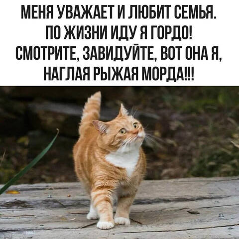 https://upforme.ru/uploads/0019/d2/d8/183/t705380.jpg