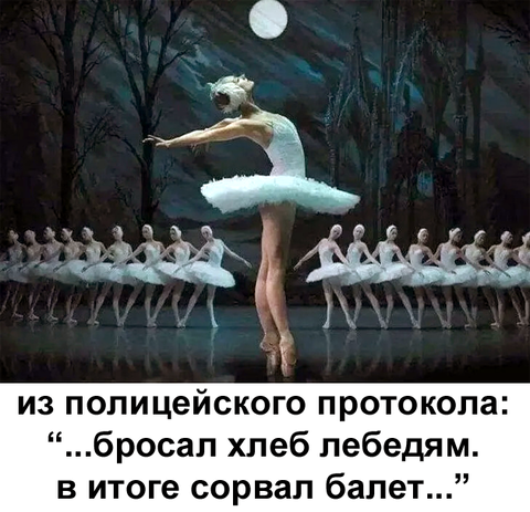https://upforme.ru/uploads/0019/d2/d8/183/t720061.png