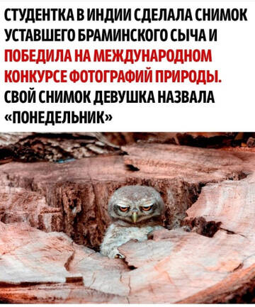 https://upforme.ru/uploads/0019/d2/d8/183/t725371.jpg