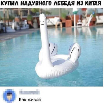https://upforme.ru/uploads/0019/d2/d8/183/t771990.jpg