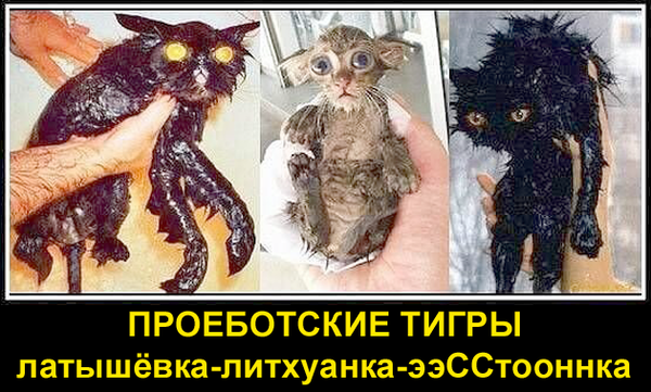 https://upforme.ru/uploads/0019/d2/d8/183/t775217.png