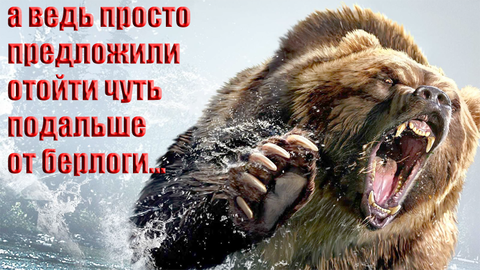 https://upforme.ru/uploads/0019/d2/d8/183/t79296.png