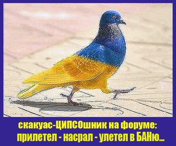 https://upforme.ru/uploads/0019/d2/d8/183/t807648.png