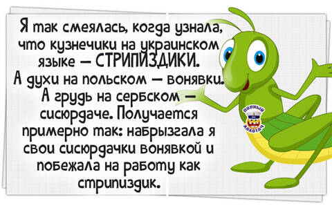 https://upforme.ru/uploads/0019/d2/d8/183/t807725.jpg