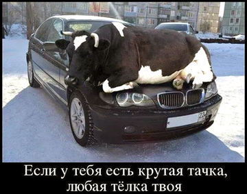 https://upforme.ru/uploads/0019/d2/d8/183/t833154.png