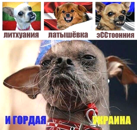 https://upforme.ru/uploads/0019/d2/d8/183/t843438.png