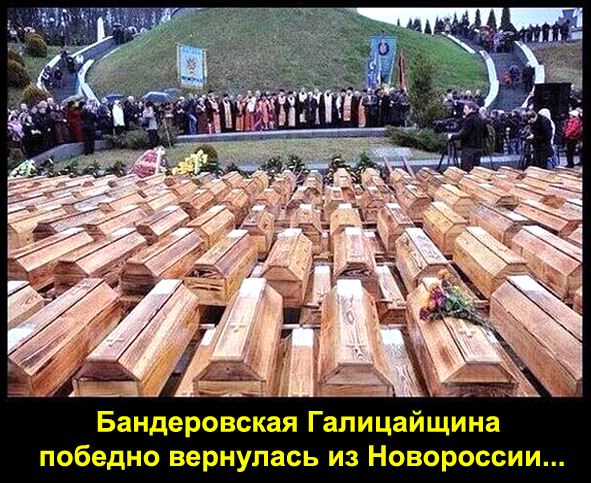 https://upforme.ru/uploads/0019/d2/d8/183/t861327.png