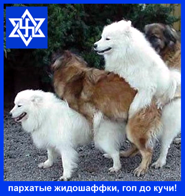 https://upforme.ru/uploads/0019/d2/d8/183/t937127.png