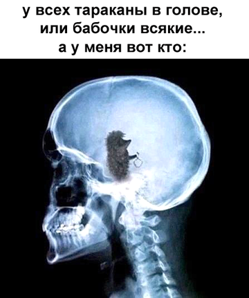 https://upforme.ru/uploads/0019/d2/d8/183/t946039.png