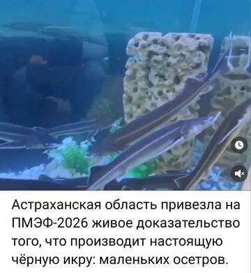 https://upforme.ru/uploads/0019/d2/d8/227/t297233.jpg