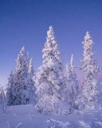 https://upforme.ru/uploads/0019/d2/d8/235/t468235.webp