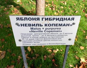 https://upforme.ru/uploads/0019/d2/d8/249/t225811.jpg