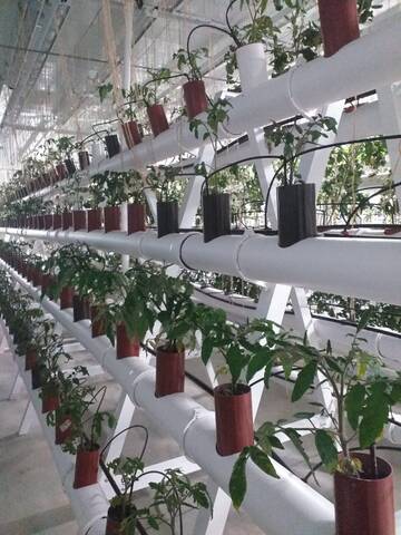 https://upforme.ru/uploads/0019/d2/d8/249/t328282.jpg