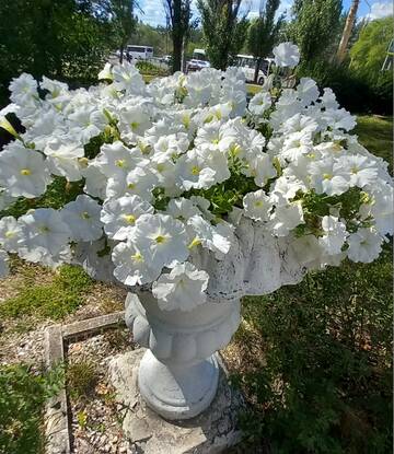 https://upforme.ru/uploads/0019/d2/d8/249/t35228.jpg