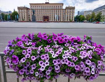 https://upforme.ru/uploads/0019/d2/d8/249/t372374.jpg