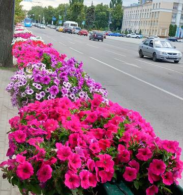 https://upforme.ru/uploads/0019/d2/d8/249/t441655.jpg