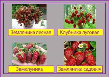 https://upforme.ru/uploads/0019/d2/d8/249/t467302.jpg