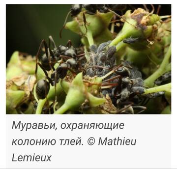 https://upforme.ru/uploads/0019/d2/d8/249/t523904.jpg