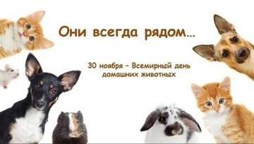 https://upforme.ru/uploads/0019/d2/d8/249/t575713.jpg
