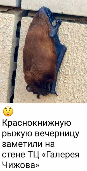 https://upforme.ru/uploads/0019/d2/d8/249/t708325.jpg