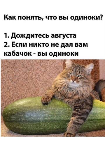 https://upforme.ru/uploads/0019/d2/d8/249/t820691.jpg