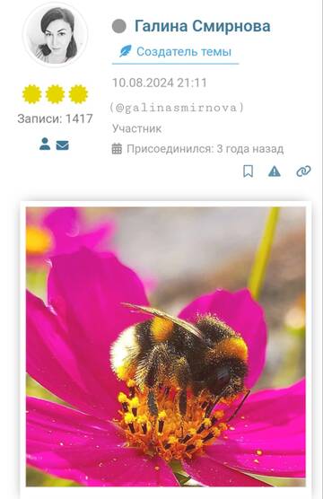https://upforme.ru/uploads/0019/d2/d8/249/t825420.jpg