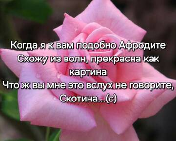 https://upforme.ru/uploads/0019/d2/d8/249/t827694.jpg